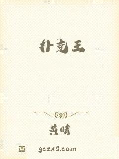 扑克王